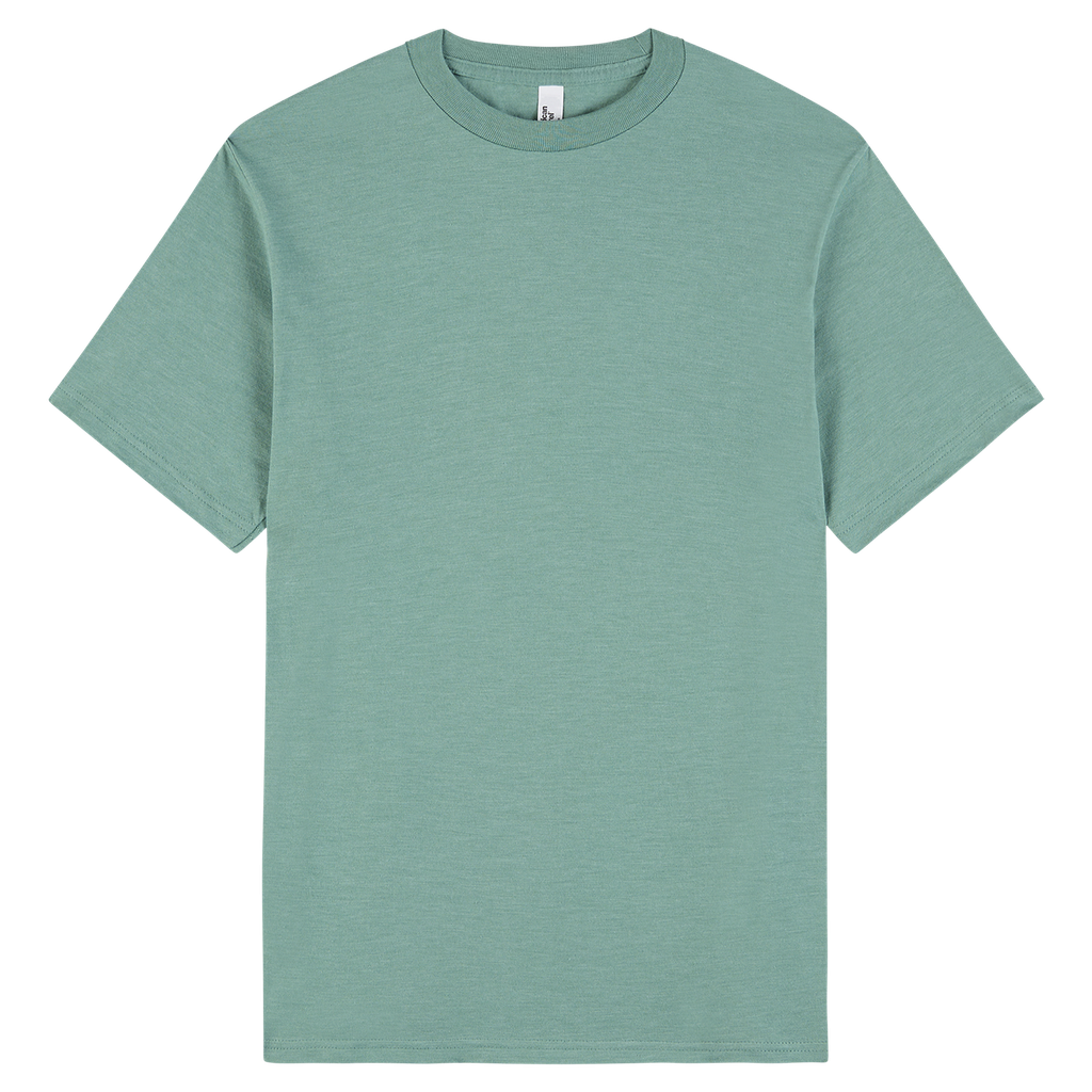 2001CVC American Apparel Unisex CVC Short Sleeve T-Shirt (Heather Arctic, 2X)